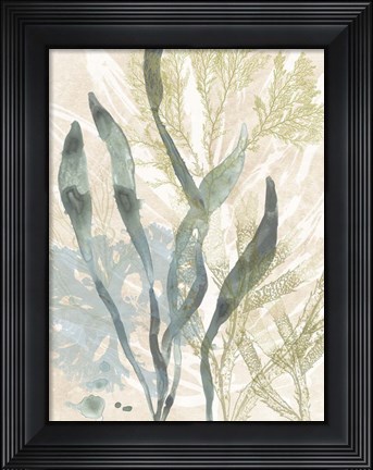 Framed Vintage Ocean Jewels II Print