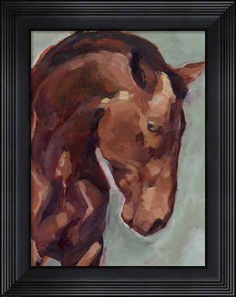Framed Paint by Number Horse II Print