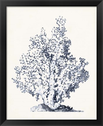 Framed Blue Antique Coral I Print