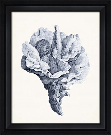Framed Blue Antique Coral III Print