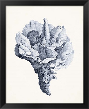 Framed Blue Antique Coral III Print