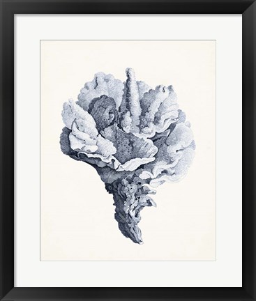 Framed Blue Antique Coral III Print