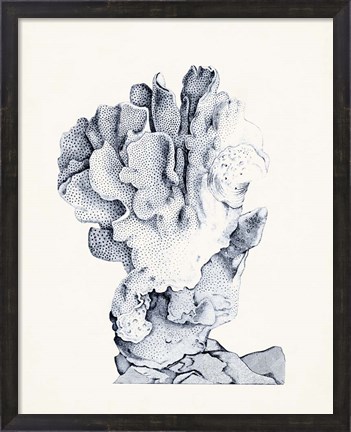 Framed Blue Antique Coral IV Print