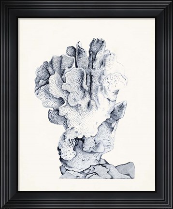 Framed Blue Antique Coral IV Print