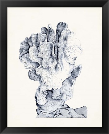 Framed Blue Antique Coral IV Print