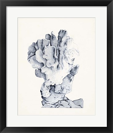 Framed Blue Antique Coral IV Print