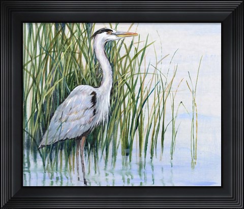 Framed Heron in the Marsh I Print