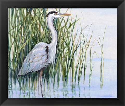 Framed Heron in the Marsh I Print