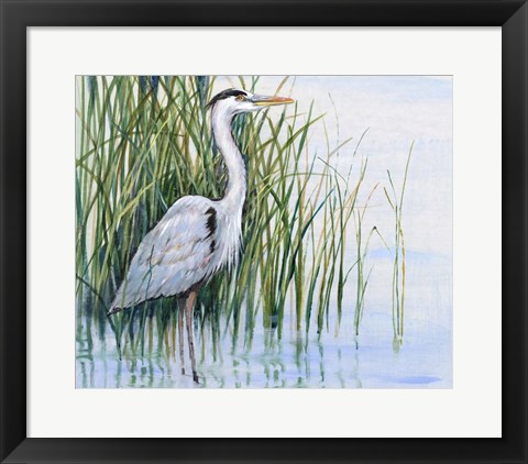 Framed Heron in the Marsh I Print