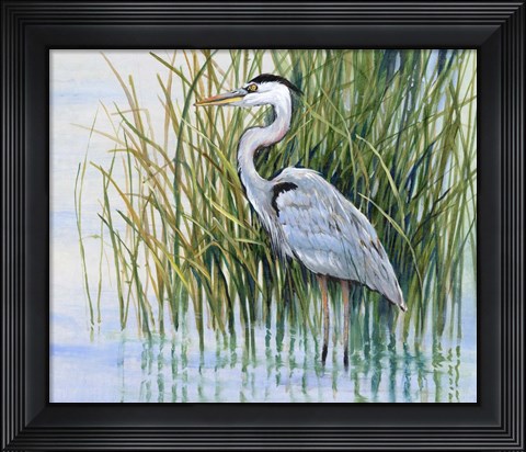 Framed Heron in the Marsh II Print