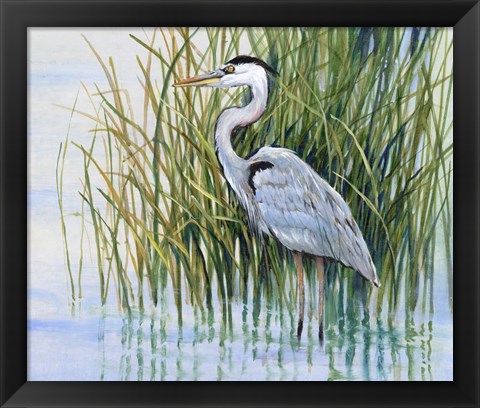 Framed Heron in the Marsh II Print