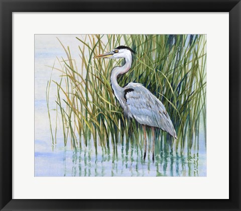 Framed Heron in the Marsh II Print