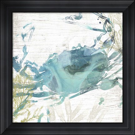 Framed Jeweled Crustacean II Print