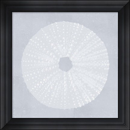Framed Tide Pool Treasures I Print