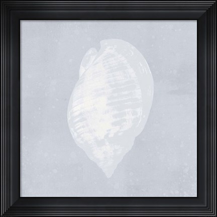 Framed Tide Pool Treasures III Print