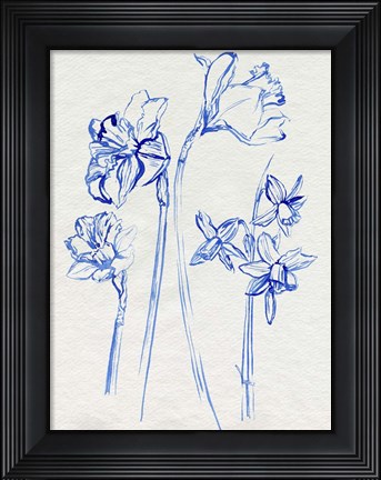 Framed Inky Daffodils I Print