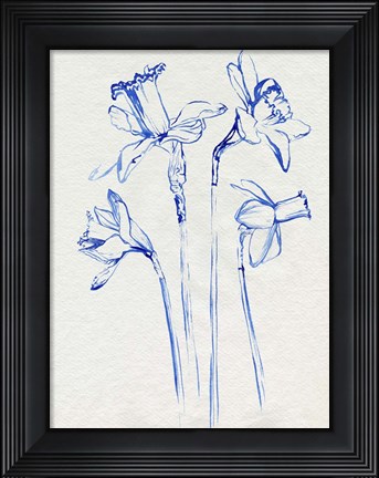 Framed Inky Daffodils II Print