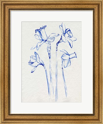 Framed Inky Daffodils II Print
