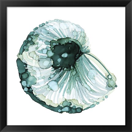 Framed Blue Barnacle I Print