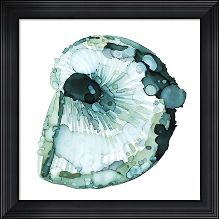 Framed Blue Barnacle II Print