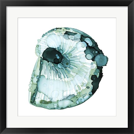 Framed Blue Barnacle II Print