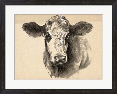 Framed Charcoal Cow I Print