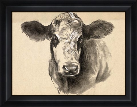 Framed Charcoal Cow I Print