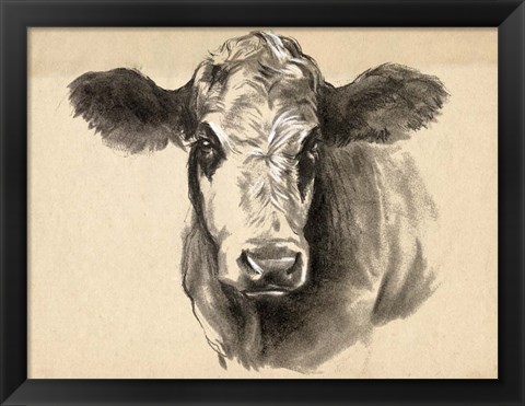 Framed Charcoal Cow I Print