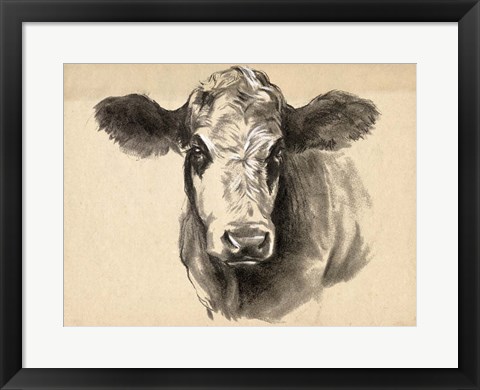 Framed Charcoal Cow I Print