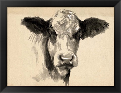 Framed Charcoal Cow II Print