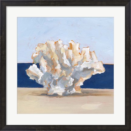 Framed Coral By the Shore II Print
