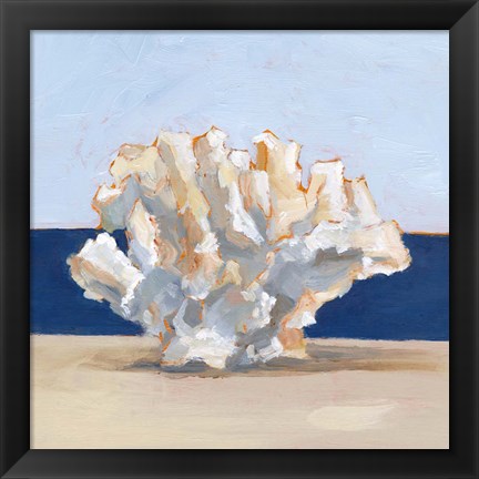 Framed Coral By the Shore II Print