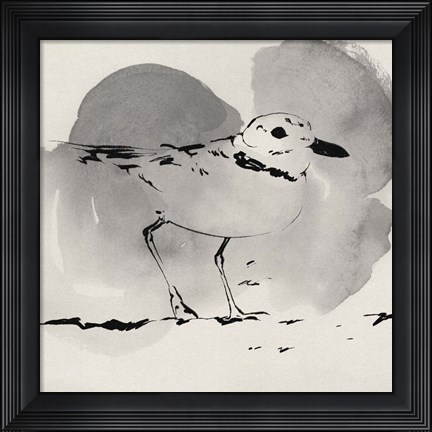 Framed Inky Plover I Print