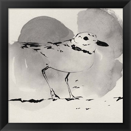 Framed Inky Plover I Print