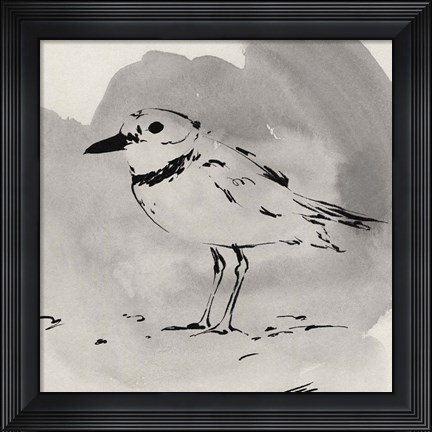Framed Inky Plover II Print