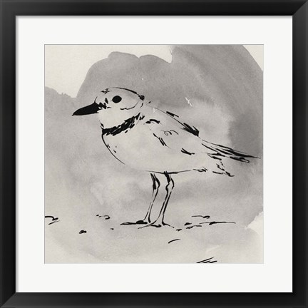 Framed Inky Plover II Print