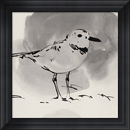 Framed Inky Plover III Print