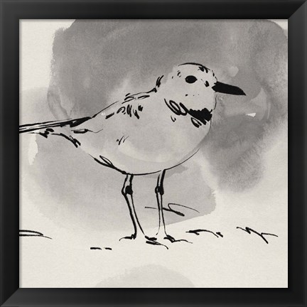 Framed Inky Plover III Print