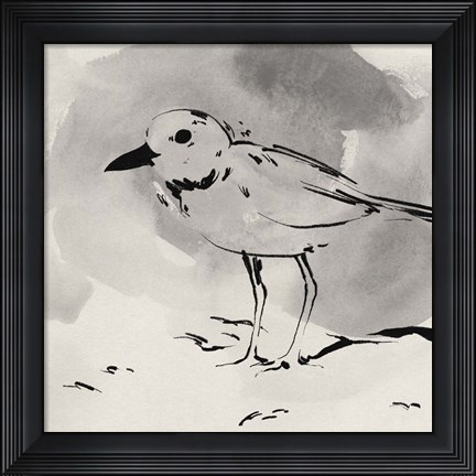 Framed Inky Plover IV Print