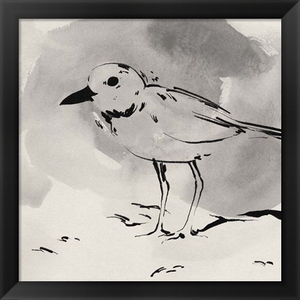 Framed Inky Plover IV Print