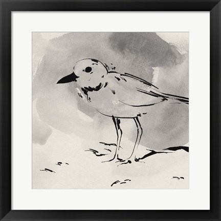 Framed Inky Plover IV Print