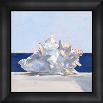 Framed Shell By the Shore I Print