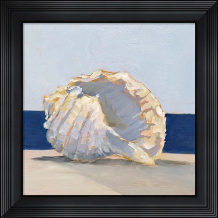 Framed Shell By the Shore II Print