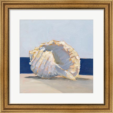 Framed Shell By the Shore II Print