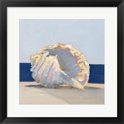 Framed Shell By the Shore II Print