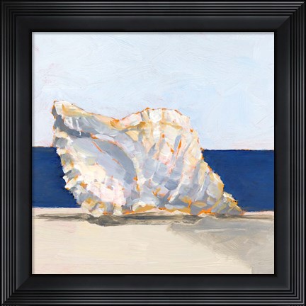 Framed Shell By the Shore III Print