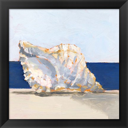 Framed Shell By the Shore III Print