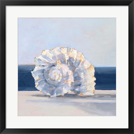 Framed Shell By the Shore IV Print
