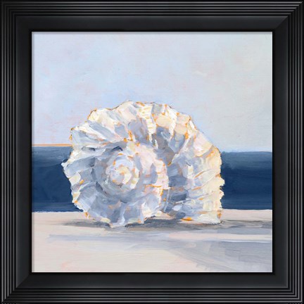 Framed Shell By the Shore IV Print