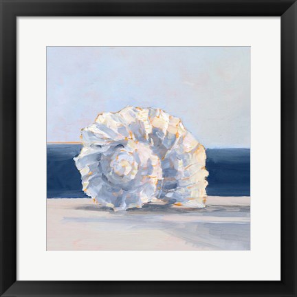 Framed Shell By the Shore IV Print